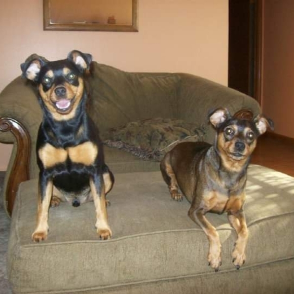 "MendyLew'sMadness" - Picture 6 of 10